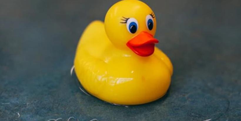 Bath Toys